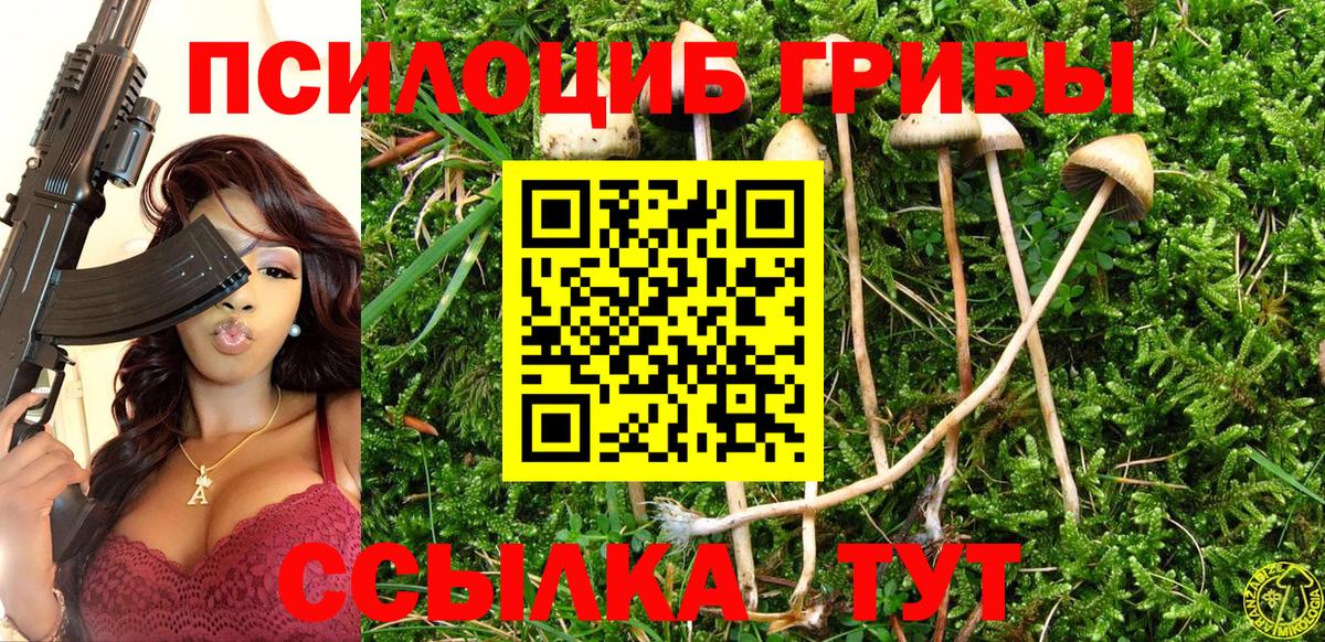 Псилоцибиновые грибы Psilocybine cubensis Богородск