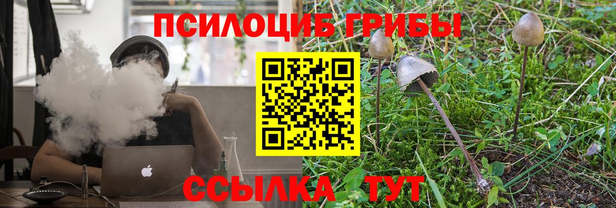 Богородск  Галлюциногенные грибы мухоморы  Псилоцибиновые грибы прущие грибы  Вход с VPN 